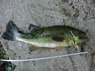 �Q�C�ڂ̃o�X