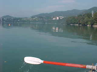 �o�X�͋���̂��H