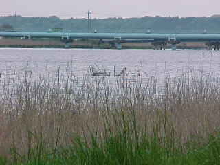 �������ς�͂قƂ�ǖ����Ȉ�׏�