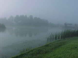 ���̋{���r