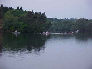 �T���O�Ƃ͎v���Ȃ����i